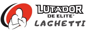 Logo Brasilian jui jitsu